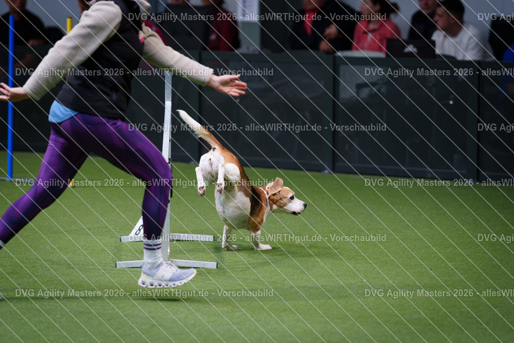 allesWIRTHgut_Tierfotografie-DVG_Agility_Masters_2026-11_22-7R505790 | Professionelle Tierfotografie in Mönchengladbach von Daniel Wirth (allesWIRTHgut). Liebevolle & natürliche Bilder von Hunden & Katzen für unvergessliche Erinnerungen.