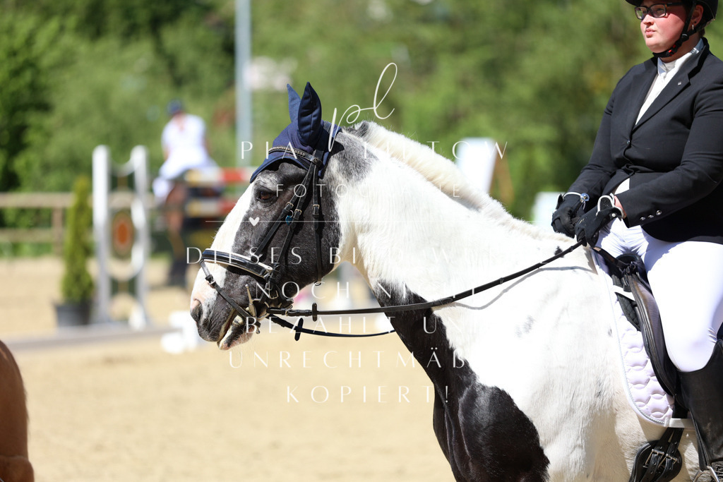 IMGS3879 | pl-fotografie