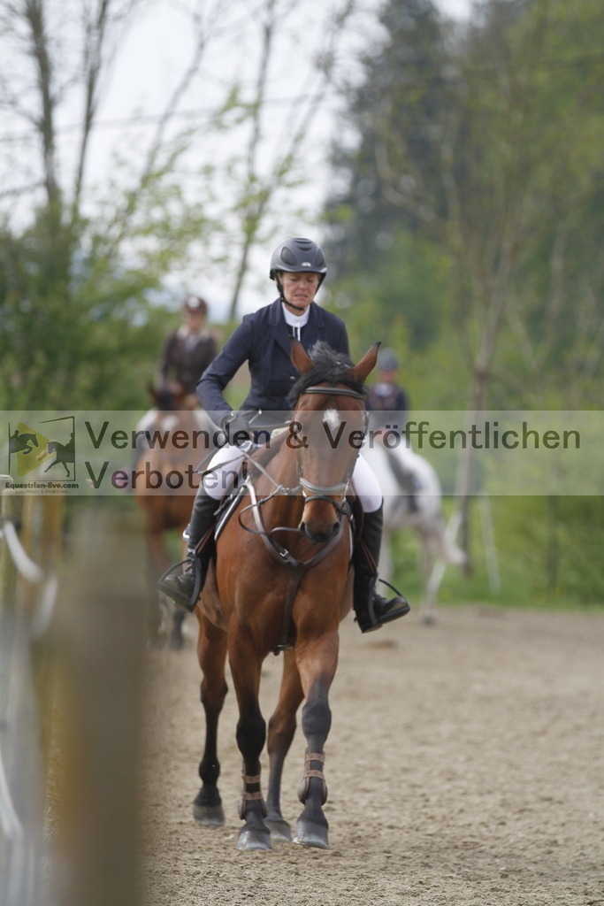 _MG_4484 | equestrian-live-com