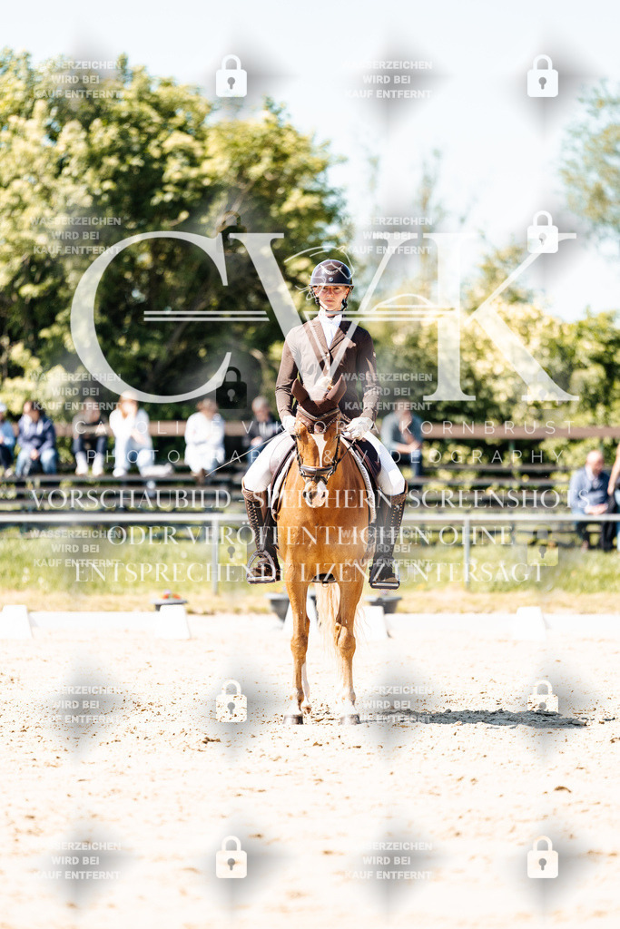 CK905479 | Turnierfotografie Pferdefotografie Trier Rheinland-Pfalz Pferdesport Reitsport Tierfotografie Sportfotografie Pferdevideo Pferdevideografie Equestrianvideography equestrianphotography  - Realisiert mit Pictrs.com