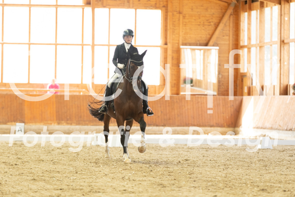 IMG_2596 | Creatify Fotografie