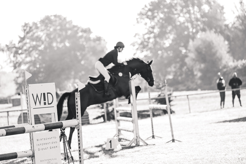 DSC_3962 | Pferde- und Turnierfotografie in Westsachsen. Pferdeportraits, Auftragszeichnungen und intuitive Kunst.