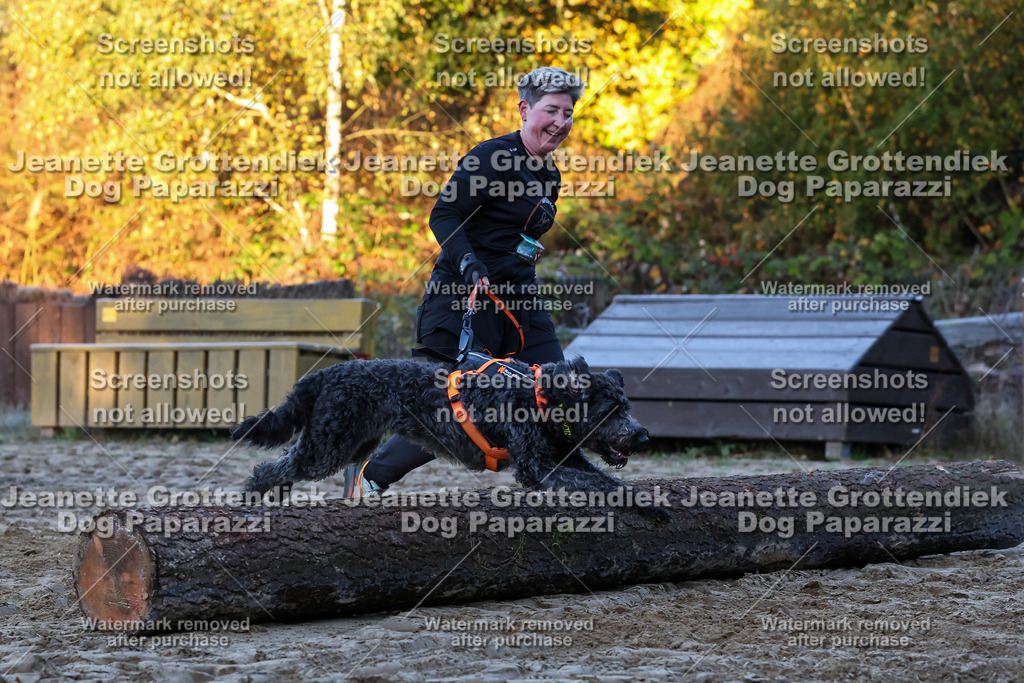 Dog Paparazzi - Strongdog 10-25-443 | Dog Paparazzi Jeanette Grottendiek Fotografie & Videografie - Realisiert mit Pictrs.com