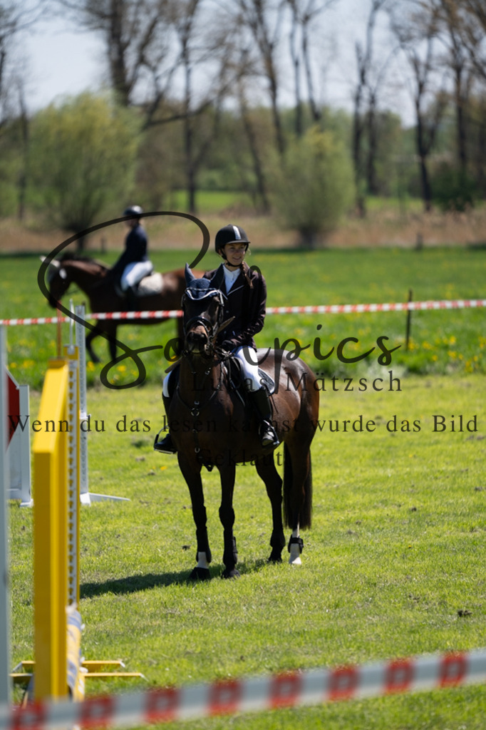 A7V01084 | Pferdefotograf