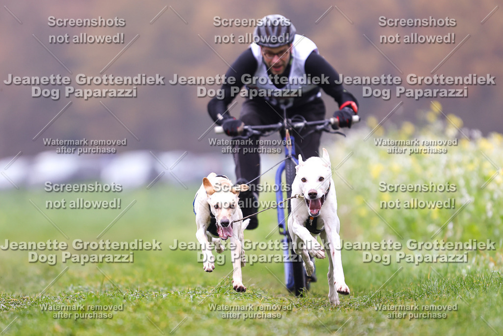 Dog Paparazzi - Visbeck 25 -62 | Dog Paparazzi Jeanette Grottendiek Fotografie & Videografie - Realisiert mit Pictrs.com