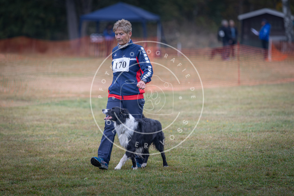 Pfotenfotografie_DV3A9118 | Hundefotografie, Tierfotograf, Pfotenfotografie, Fotoshooting Hund, Hunde Portrait, Hundesport, Hundeportraits, Heideshooting, Hunde, Sportfotograf, Hundefotograf, Turnierhundsport, THS,  - Realisiert mit Pictrs.com