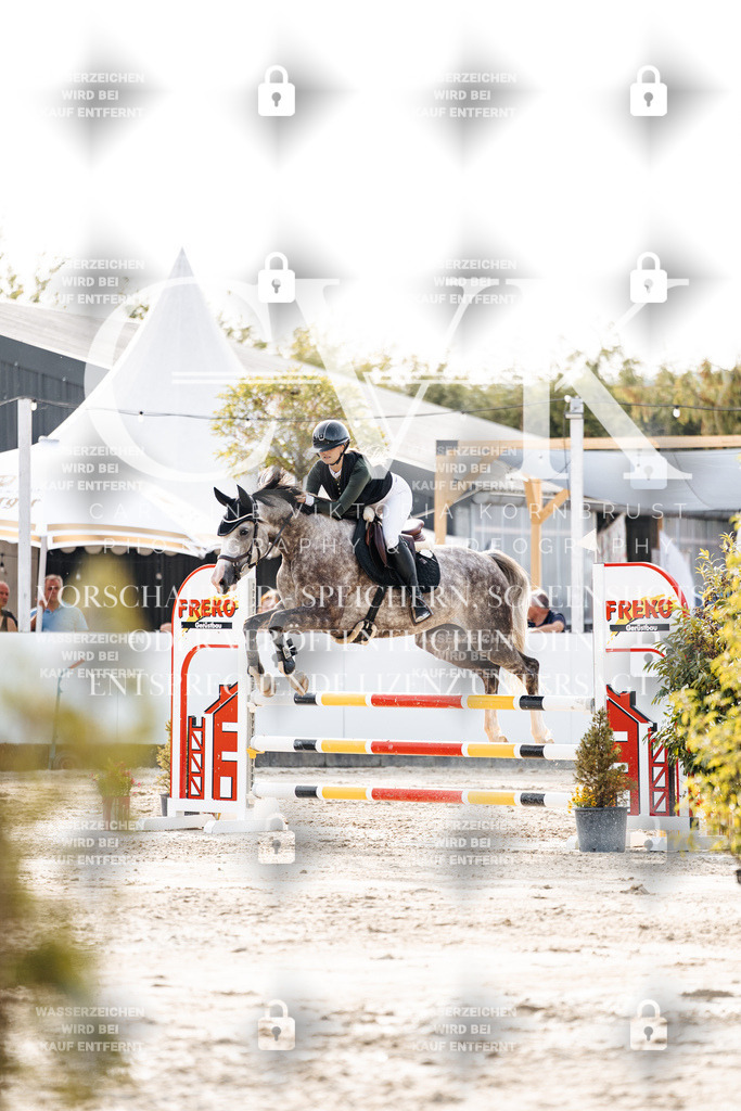 CK906607 | Turnierfotografie Pferdefotografie Trier Rheinland-Pfalz Pferdesport Reitsport Tierfotografie Sportfotografie Pferdevideo Pferdevideografie Equestrianvideography equestrianphotography  - Realisiert mit Pictrs.com