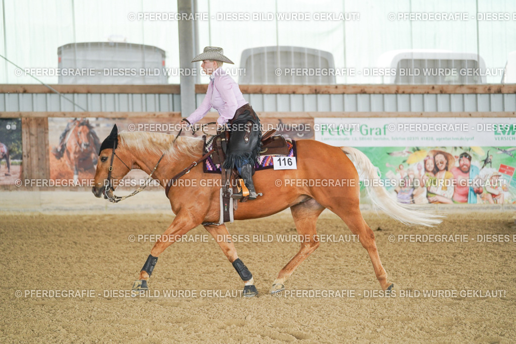 DSC02923 | Pferdegrafie