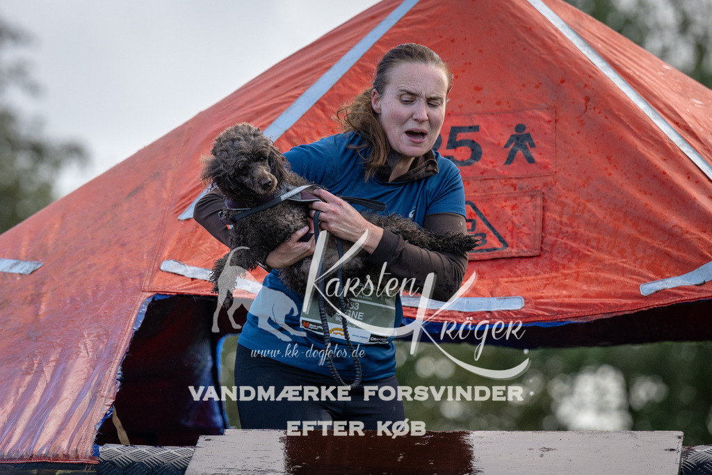 1258-90379 | kk-dogfotos