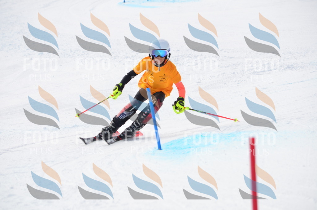 C8194 | holidayphoto