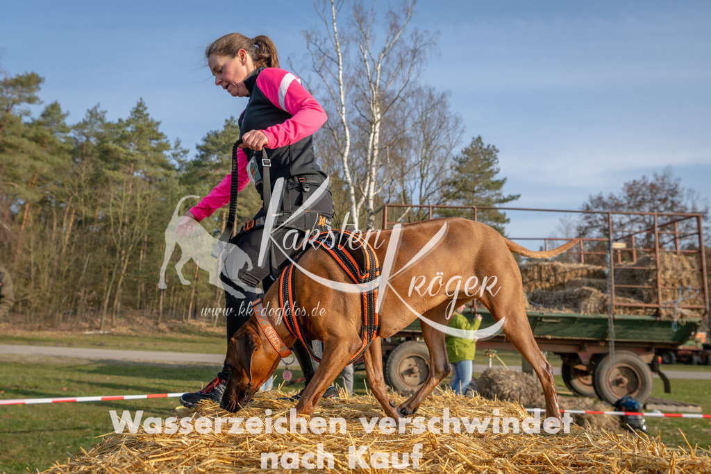 _ZZ91037 | kk-dogfotos