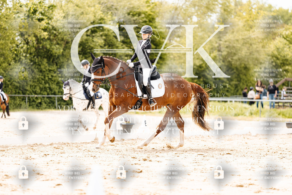 CK902249 | Turnierfotografie Pferdefotografie Trier Rheinland-Pfalz Pferdesport Reitsport Tierfotografie Sportfotografie Pferdevideo Pferdevideografie Equestrianvideography equestrianphotography  - Realisiert mit Pictrs.com