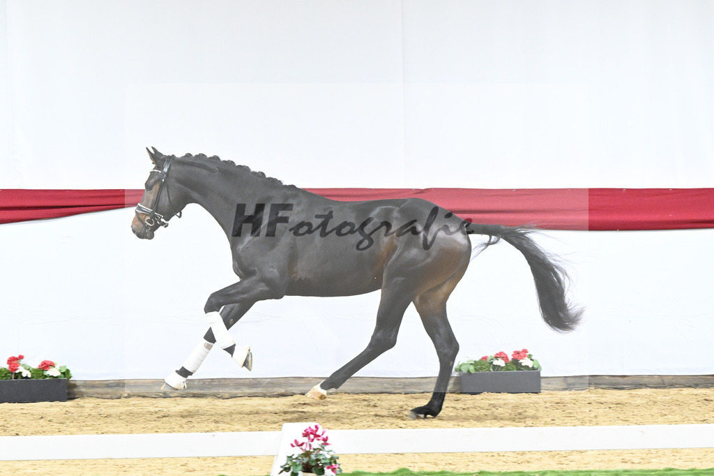 Kat-Nr. 53 v. Marc Cain_van der Raadt_63221496 | hf-fotografie - Realizzato con Pictrs.com
