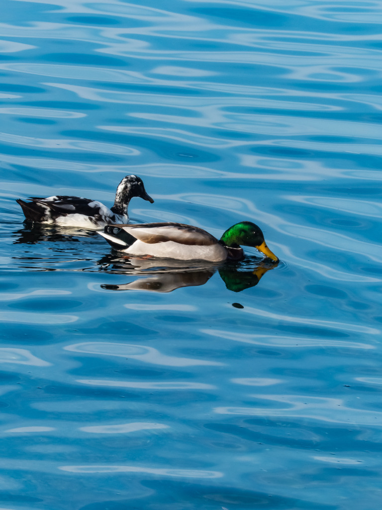 PSX_20230319_000942 | mtkfoto_ - Realisiert mit Pictrs.com