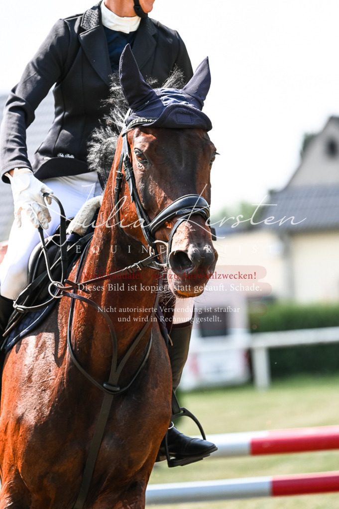 DSC_8762 | Pferde- und Turnierfotografie in Westsachsen. Pferdeportraits, Auftragszeichnungen und intuitive Kunst.