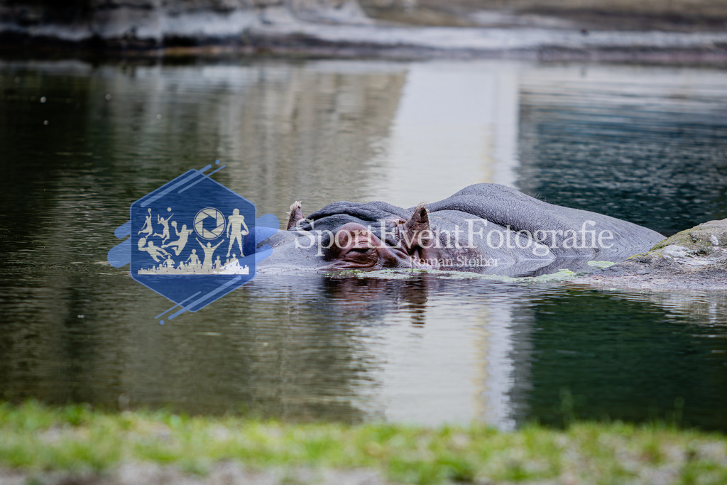 IMG_6149 | SportEventFotografie - Roman Stoiber