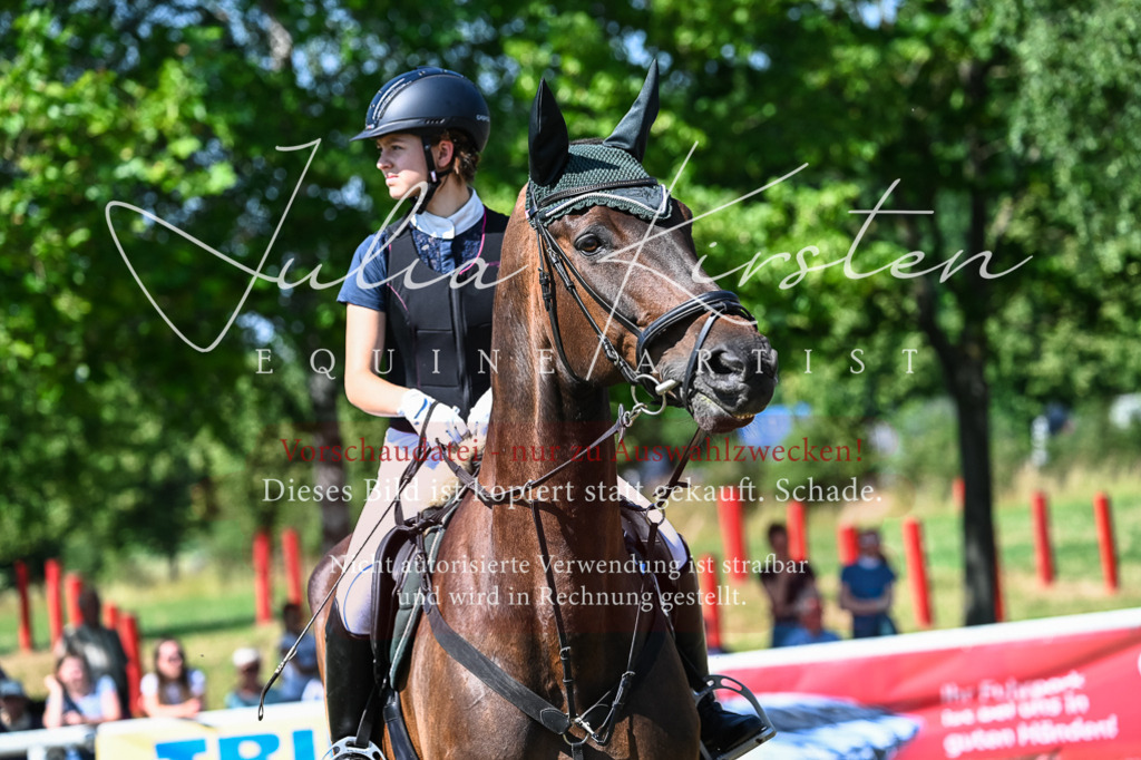 DSC_1581 | Pferde- und Turnierfotografie in Westsachsen. Pferdeportraits, Auftragszeichnungen und intuitive Kunst.