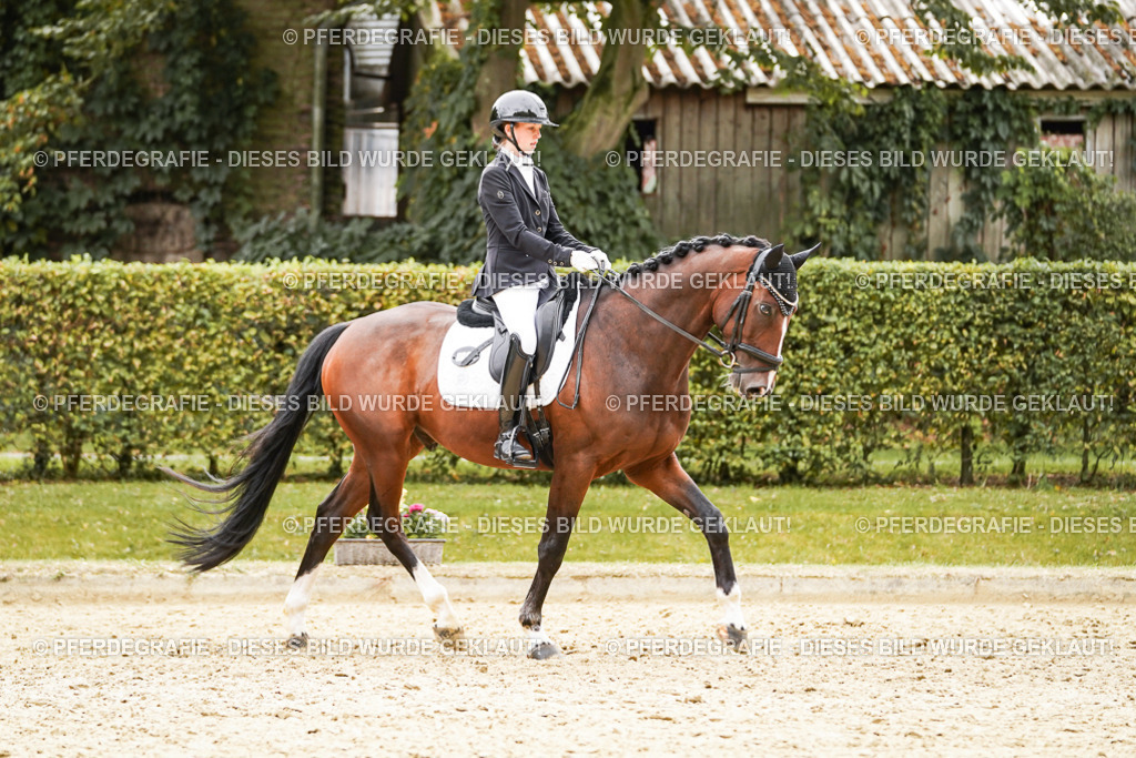 DSC02912 | Pferdegrafie