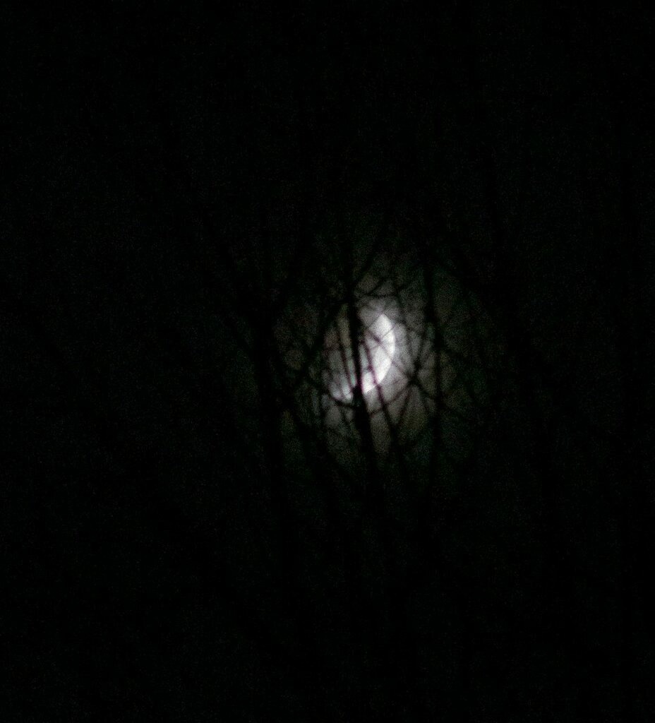 PSX_20221227_232617 | mtkfoto_ - Realisiert mit Pictrs.com