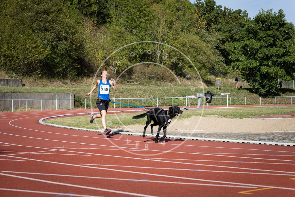 Pfotenfotografie_DV3A9394 | Hundefotografie, Tierfotograf, Pfotenfotografie, Fotoshooting Hund, Hunde Portrait, Hundesport, Hundeportraits, Heideshooting, Hunde, Sportfotograf, Hundefotograf, Turnierhundsport, THS,  - Realisiert mit Pictrs.com