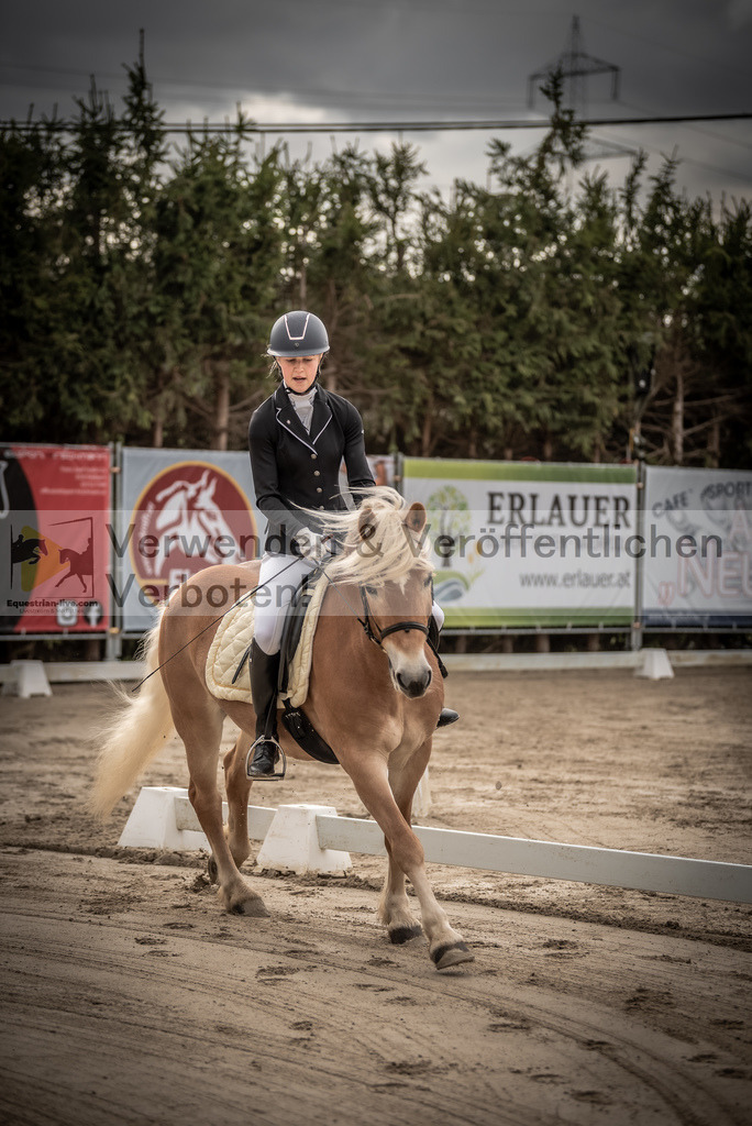 DSC_8100 | equestrian-live-com