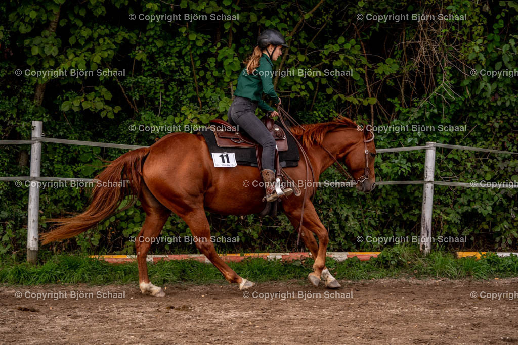 SAL03466 | BS-foto