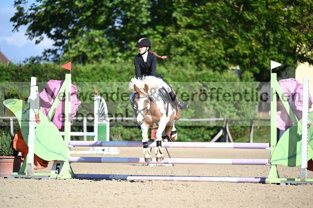 DSC_7918 | equestrian-live-com