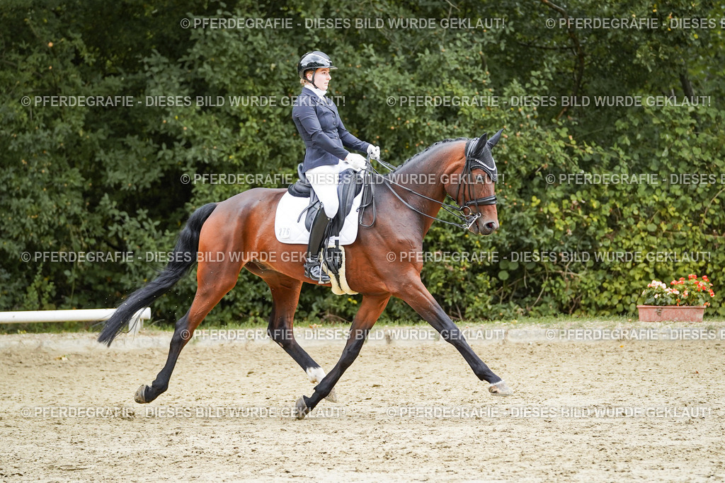 DSC07248 | Pferdegrafie