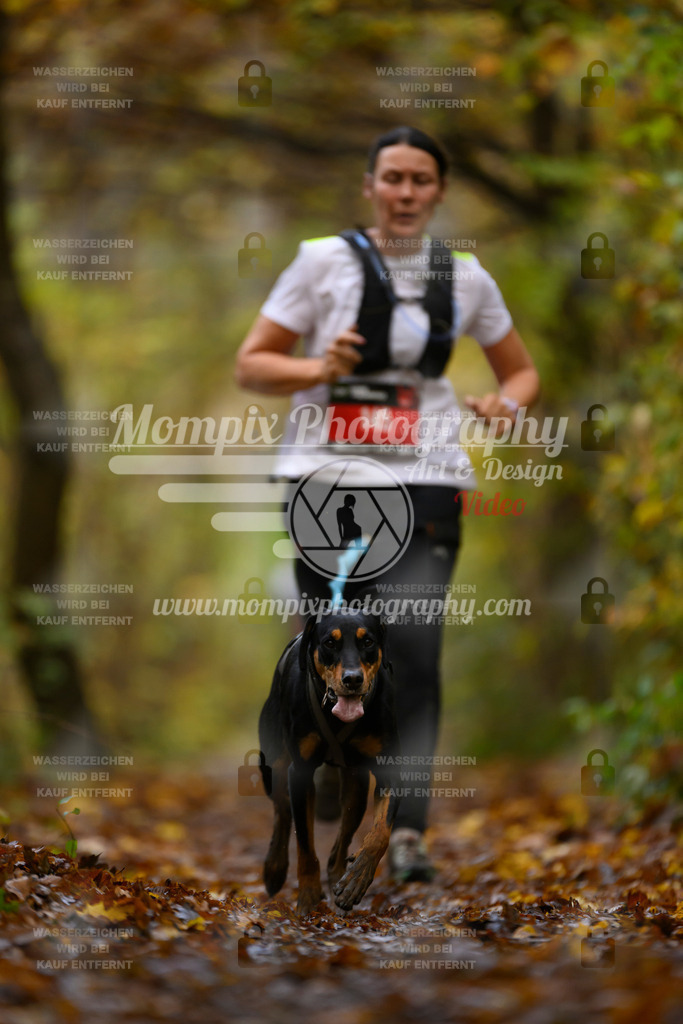 MompixPhotography_CD7S_DI_CCL-147 | mompixphotography