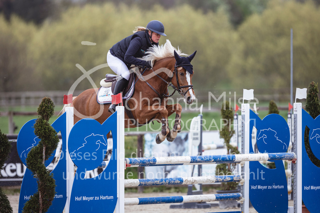 250417_Springpferde-L1-274 | Deine schönsten Turniermomente als professionelle Fotos! Entdecke hochwertige Pferdesport-Fotografie im Online-Shop. Jetzt Fotos finden & bestellen!