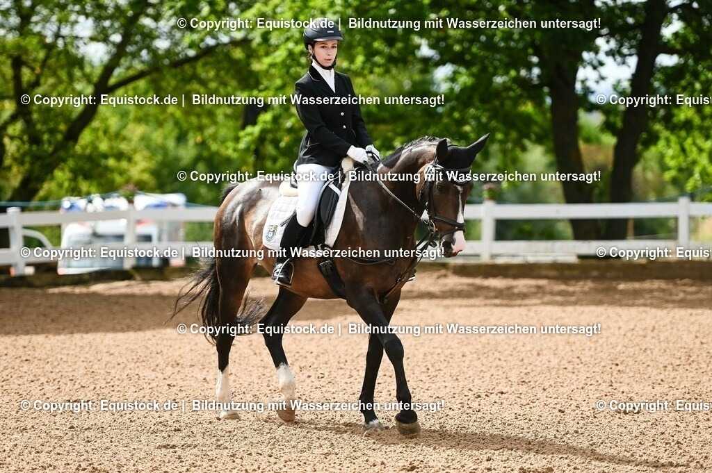 20230716_10-1_Reiter-WB Schritt - Trab - Galopp_0120 | equistock