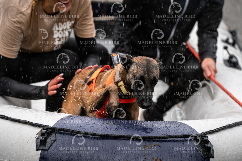 madeleinebirr-fotografie2025.campcanis.11-12Uhr-290 | hundefotografie-birr