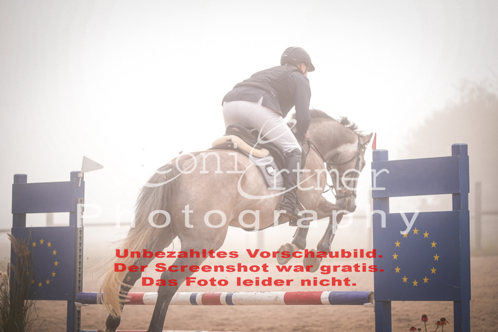08.SaSpPA100211 | Leoni Ertmer Photography - Realisiert mit Pictrs.com
