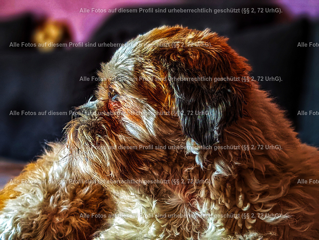 PXL_20220813_072156941.PORTRAIT-01-01 | krollfotografie - Realisiert mit Pictrs.com