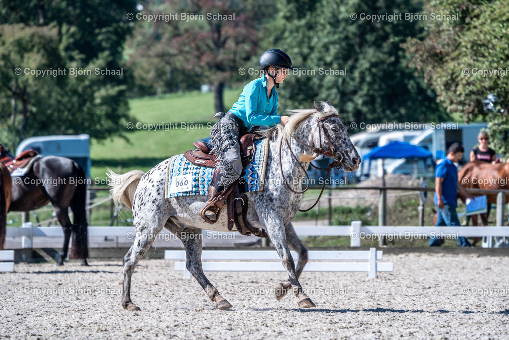 HOB08565 | BS-foto