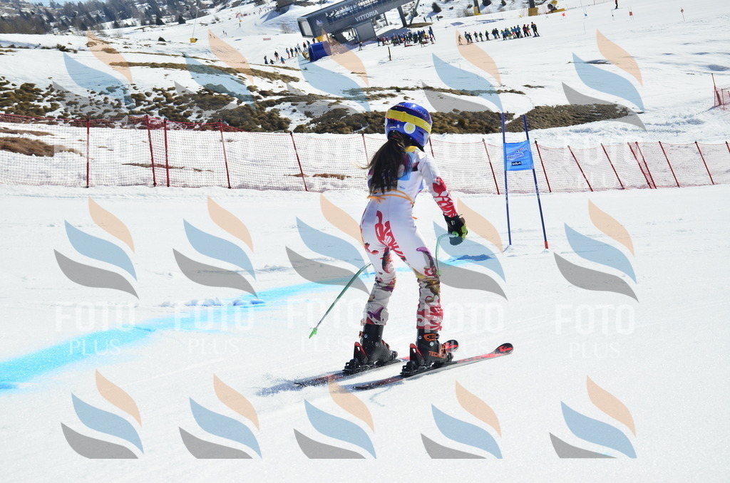 _ELE0189 | holidayphoto