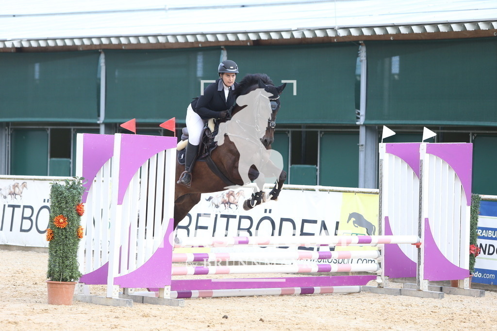 DL2Q5277 | Willkommen bei Brunnmayr - Design & Fotografie – Ihrem Spezialisten für Reitturniere und Pferdeveranstaltungen in Oberösterreich, Salzburg und Bayern! Seit über 17 Jahren sind wir leidenschaftlich dabei.