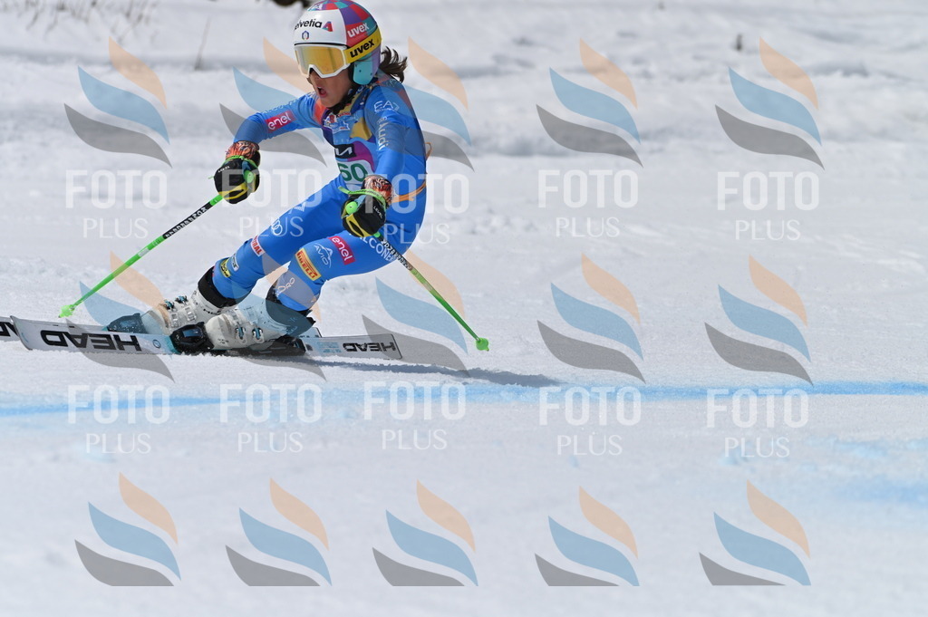 BGV_7128 | holidayphoto