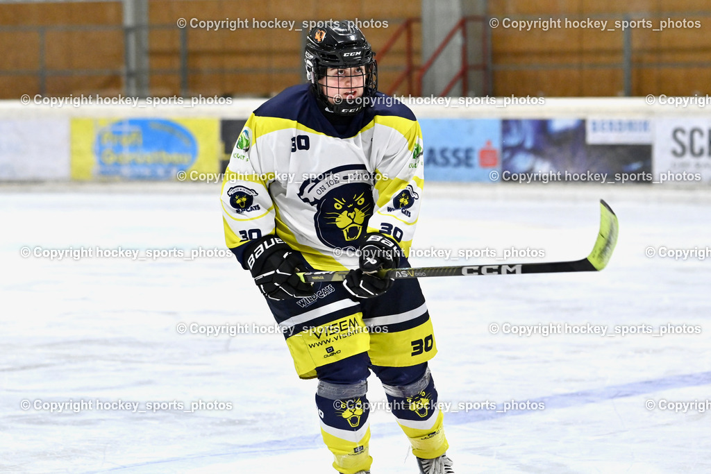 Wildcats Paternion vs. Lady Hawks  | #30 Sauerbier Dana Kiara WILDCATS PATERNION, Wildcats Paternion vs. Lady Hawks , Wildcats Paternion vs. Lady Hawks  am 27.01.2025 in Spittal an der Drau (Eissportzentrum Spittal), Austria, (Photo by Bernd Stefan)