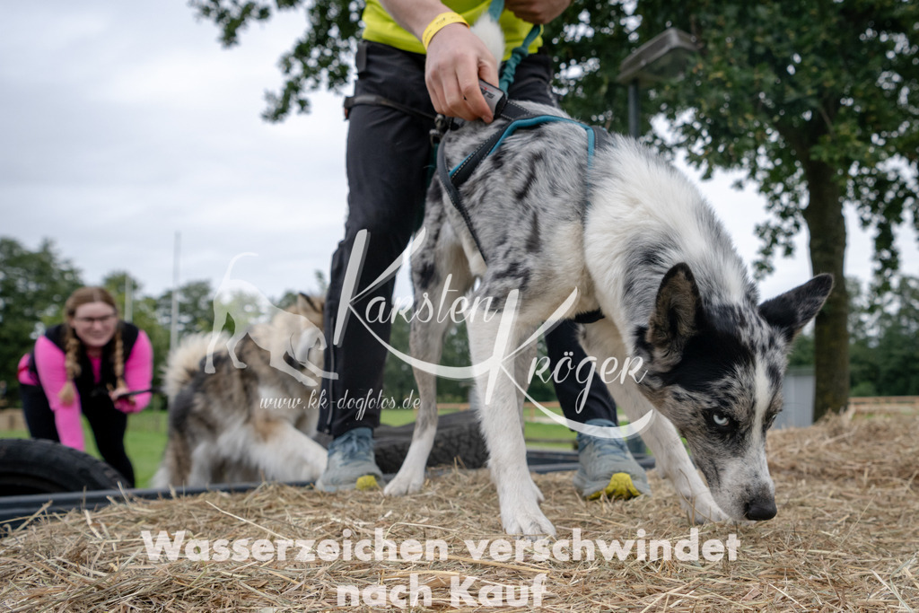 1212_ZZ94897 | kk-dogfotos