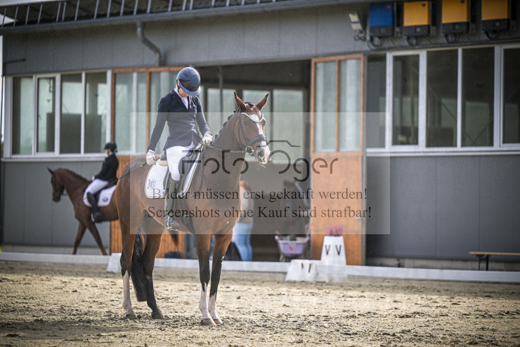 DOS_2384 | Entdecke hochwertige Reitturnierfotos von Foto Oger. Professionell, emotional und authentisch – jetzt Lieblingsmomente im Shop bestellen.Deutschlandweite Turnierfotografie. - Realisiert mit Pictrs.com