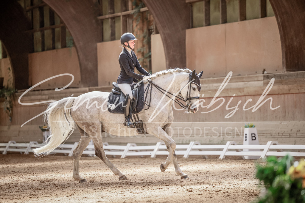 20250621-_3LI0029 | Tierfotografie Pferde, Hunde, Katzen, Haustiere.
Turnierfotografie Reitturniere, Reiten, Springreiten, Dressur in Hanau, dem Main-Kinzig-Kreis und dem Rhein-Main- Gebiet um Frankfurt
