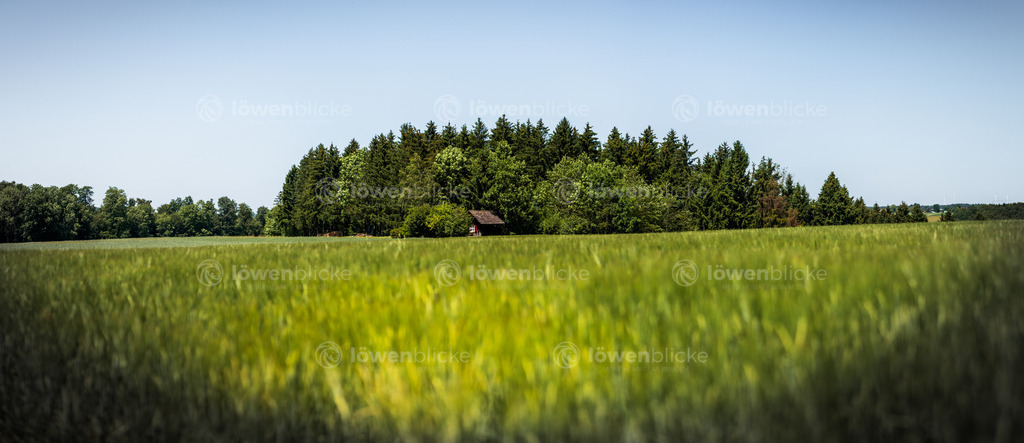 Sommerfelder auf der Schwäbischen Alb | löwenblicke | shop