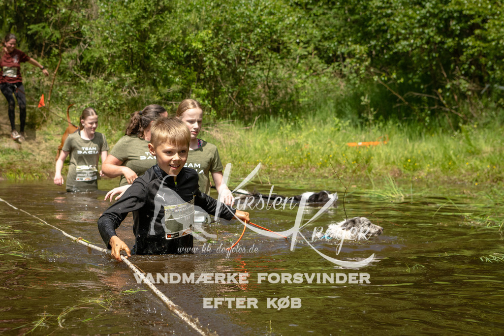 1238DKK993223 | kk-dogfotos