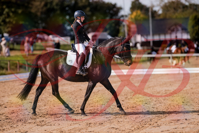 2026_10_03_Siefer-Hof_121425_Z81_16463787 | Professionelle Reitsport-, Turnier- und Eventfotografie von Robert Broda. Galerien mit ausgewählten und bearbeiteten Bildern direkt online ansehen und bestellen.