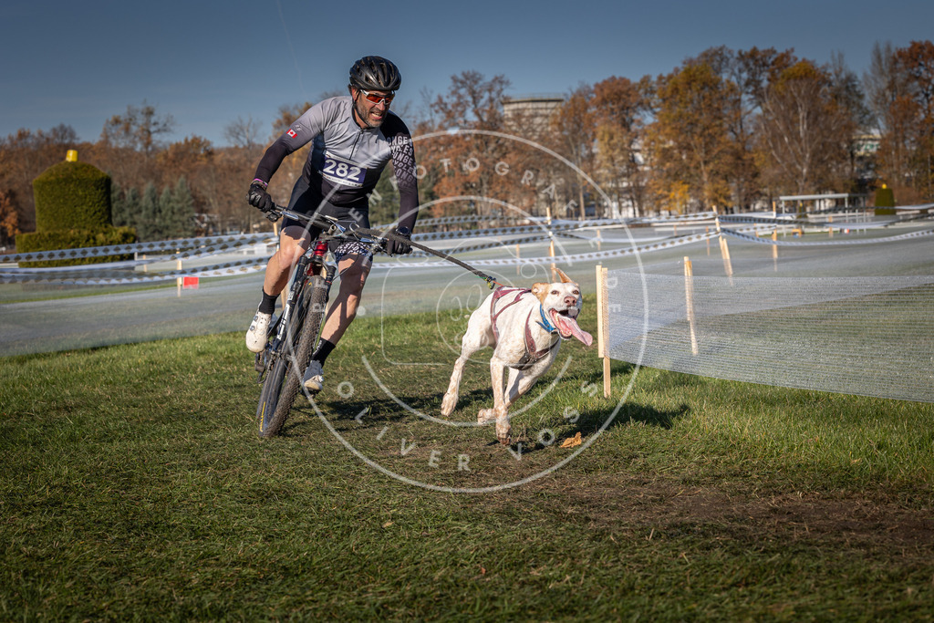 CaniXpix_0L8A5267 | Hundefotografie, Tierfotograf, Pfotenfotografie, Fotoshooting Hund, Hunde Portrait, Hundesport, Hundeportraits, Heideshooting, Hunde, Sportfotograf, Hundefotograf, Turnierhundsport, THS,  - Realisiert mit Pictrs.com