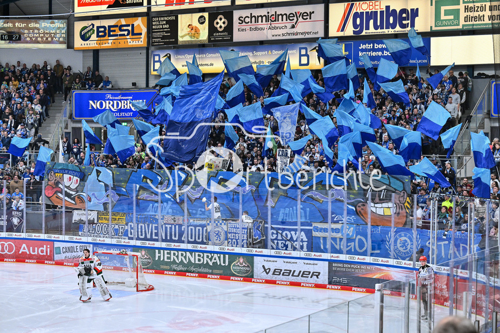 ERC Ingolstadt - Augsburger Panther | Die Fans der Hausherren haben eine Choreo zu Spielbeginn vorbereitet / Ultras / DEL: ERC Ingolstadt - Augsburger Panther, Saturn Arena am 03.11.2024