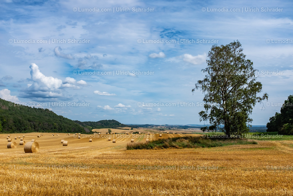 10049-12940 - Landschaft bei Langenstein | Stockfoto und Bilderpool mit Bildmaterial aus Deutschland, dem Harz, Halberstadt, Quedlinburg, Wernigerode und weltweit. Qualitativ hochwertige und professionelle Fotos anschauen und kaufen. - Realisiert mit Pictrs.com