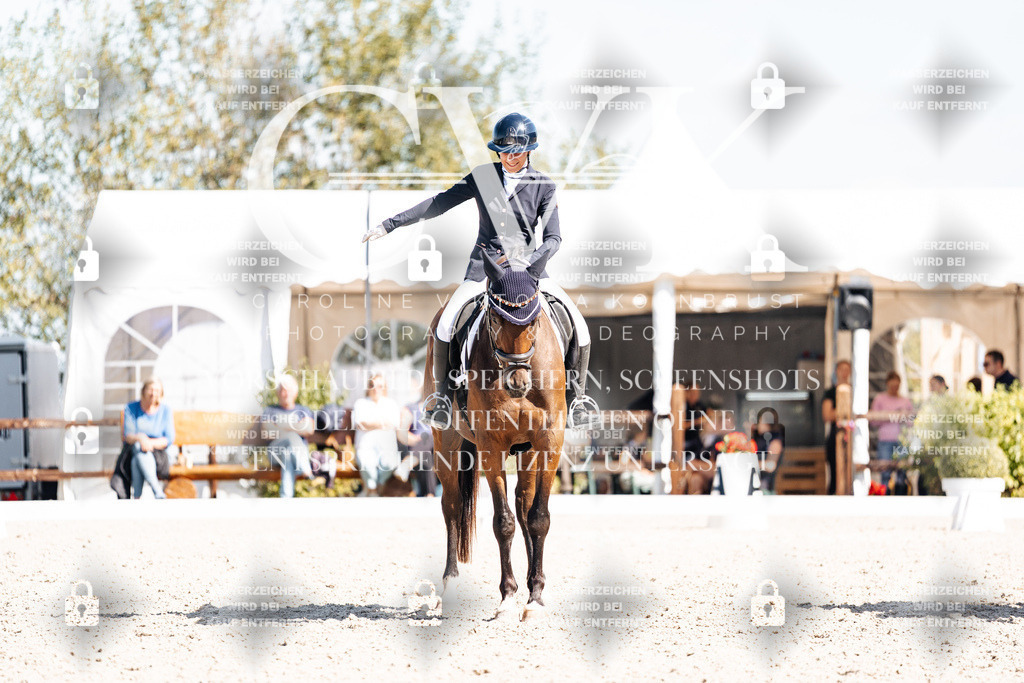 CK903990 | Turnierfotografie Pferdefotografie Trier Rheinland-Pfalz Pferdesport Reitsport Tierfotografie Sportfotografie Pferdevideo Pferdevideografie Equestrianvideography equestrianphotography  - Realisiert mit Pictrs.com