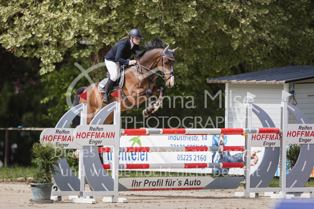 250504_SpengeW_M2-Spr-451 | Deine schönsten Turniermomente als professionelle Fotos! Entdecke hochwertige Pferdesport-Fotografie im Online-Shop. Jetzt Fotos finden & bestellen!